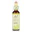 Bach Flower Remedies Essence White Chestnut - 0.7 fl oz