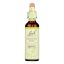 Bach Flower Remedies Essences Chestnut Bud - 0.7 fl oz