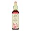Bach Flower Remedies Essence Elm - 0.7 fl oz