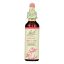 Bach Flower Remedies Essence Willow - 0.7 fl oz