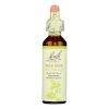 Bach Flower Remedies Essence Wild Rose - 0.7 fl oz