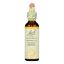 Bach Flower Remedies Essences Hornbeam - 0.7 fl oz
