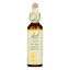 Bach Flower Remedies Essence Gorse - 0.7 fl oz