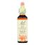 Bach Flower Remedies Essence Red Chestnut - 0.7 fl oz
