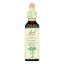 Bach Flower Remedies Essence Centaury - 0.7 fl oz
