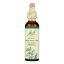 Bach Flower Remedies Essence Holly - 0.7 fl oz