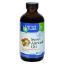 Earth's Care 100% Pure Sweet Almond Oil - 8 fl oz