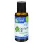 Earth's Care Essential Oil - 100 Percent Pure - Natr - Eucalyptus - 1 fl oz