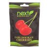 Next Organics Dark Chocolate Coconut - Organic - Case of 6 - 4 oz.