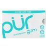 Pur Gum - Wintergreen - Aspartame Free - 9 Pieces - 12.6 g - Case of 12