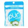 Pur Mint Gum - Peppermint - Case of 12 - 60