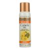 Spectrum Naturals High Heat Canola Spray Oil - Case of 6 - 16 Fl oz.