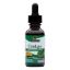 Nature's Answer - Ginkgo Leaf Alcohol Free - 1 fl oz