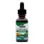 Nature's Answer - Goldenseal Root Alcohol Free - 1 fl oz