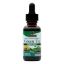 Nature's Answer - Green Tea Alcohol Free - 1 fl oz