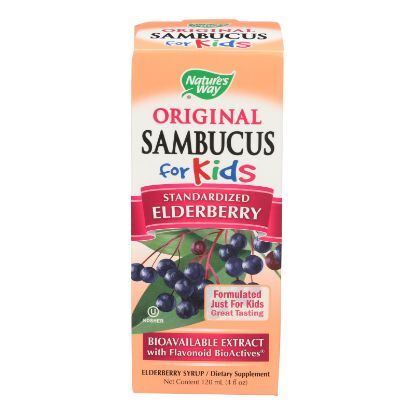 Nature's Way - Original Sambucus for Kids - Standardized Elderberry - 4 fl oz