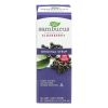 Nature's Way - Sambucus Original Syrup - 8 fl oz