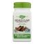Nature's Way - Devil's Claw Secondary Root - 100 Capsules