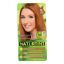 Naturtint Hair Color - Permanent - 8C - Copper Blonde - 5.28 oz