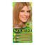 Naturtint Hair Color - Permanent - 8G - Sandy Golden Blonde - 5.28 oz