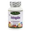 Paradise Herbs Astragalus - 60 Vegetarian Capsules