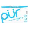 Pur Gum - Peppermint - Aspartame Free - 9 Pieces - 12.6 g - Case of 12