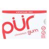 Pur Gum - Cinnamon - Aspartame Free - 9 Pieces - 12.6 g - Case of 12