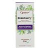 Quantum Elderberry Syrup - 4 fl oz