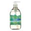 Seventh Generation Hand Wash - Natural - Free Cln Unsc - 12 fl oz - 1 Case