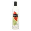 Shikai Natural Color Care Shampoo - 12 fl oz