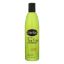 Shikai Natural Tea Tree Conditioner - 12 fl oz