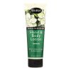 Shikai All Natural Hand And Body Lotion Gardenia - 8 fl oz