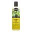 Shikai Products Shower Gel - Cucumber Melon - 12 oz