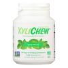 XyliChew Chewing Gum - Sugar Free Spearmint - 60 Piece Jar - Case of 4