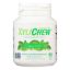 XyliChew Chewing Gum - Sugar Free Spearmint - 60 Piece Jar - Case of 4