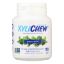 XyliChew Chewing Gum - Sugar Free Peppermint - 60 Piece Jar - Case of 4
