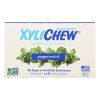 Xylichew Gum - Peppermint - Counter Display - 12 Pieces - 1 Case