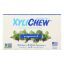 Xylichew Gum - Peppermint - Counter Display - 12 Pieces - 1 Case
