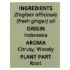 Aura Cacia - Essential Oil - Fresh Ginger - 0.5 oz.