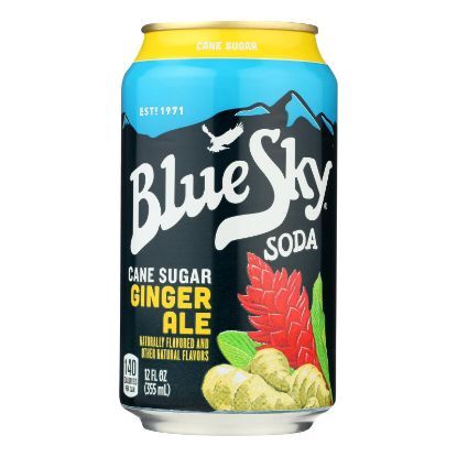 Blue Sky - Ginger Ale - Cane Sugar - Case of 4 - 12 oz.