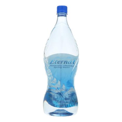 Eternal Naturally Artesion Water - Case of 12 - 1.5 Liter