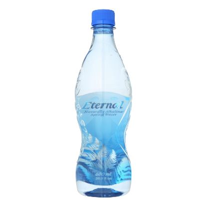 Eternal Naturally Artesian Water - Case of 24 - 600 ml