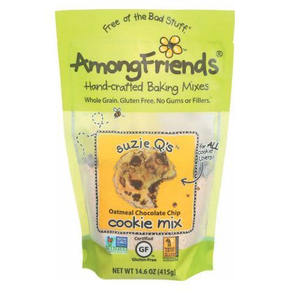Among Friends Suzie Q's Cookie Mix - Oatmeal Chocolate Chip - Case of 6 - 14.6 oz