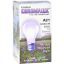 Chromalux - Light Bulb Std Clear - 1 Each - 1 CT