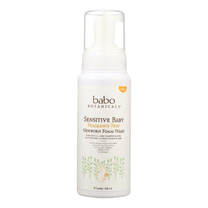 Babo Botanicals - Foaming Body Wash - Fragrance Free - 1 Each - 9 fl oz.