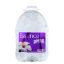 Essence Alkaline Water - Essence Ph10 Water - Gallon - Case of 4 - 1 Gal
