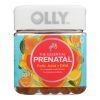 Olly - Prenatl Vitamin Folic Acd Cit - 1 Each - 60 CT