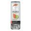 Celsius Inc. - Drink Sparkling Guava Kiwi - Case of 12 - 12 FZ