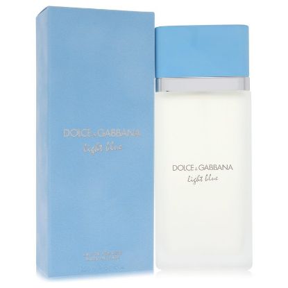 Light Blue by Dolce & Gabbana Eau De Toilette Spray 6.7 oz for Women